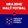 Asociace malého fotbalu